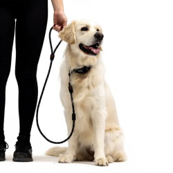 EZYDOG VODÍTKO SUMMIT LEASH™ - BLK