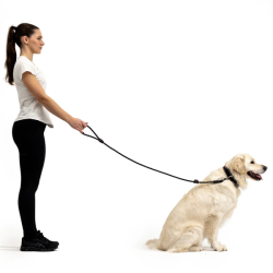 EZYDOG VODÍTKO SUMMIT LEASH™ - BLK